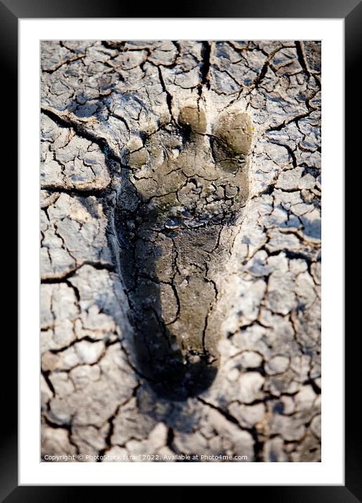 Water shortage and drought  Framed Mounted Print by PhotoStock Israel