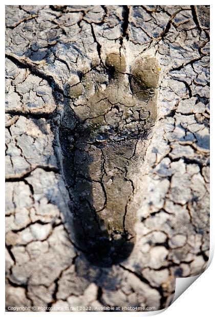 Water shortage and drought  Print by PhotoStock Israel