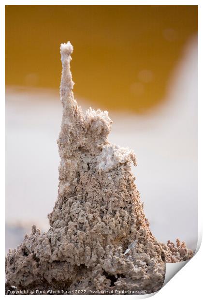 Dead Sea salt formation  Print by PhotoStock Israel