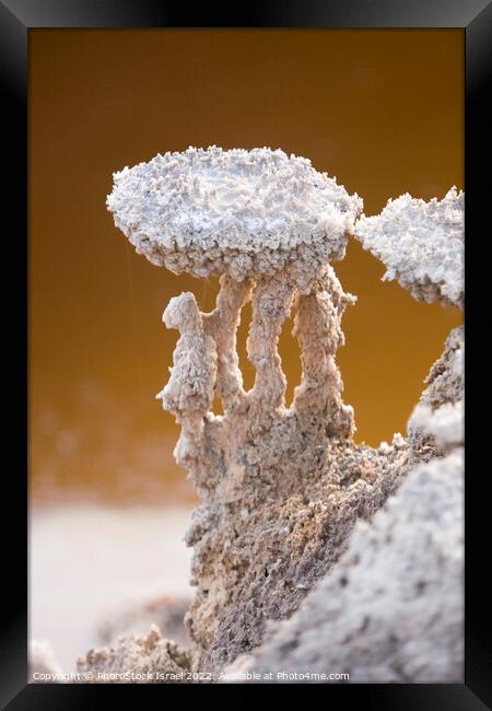 Dead Sea salt formation  Framed Print by PhotoStock Israel