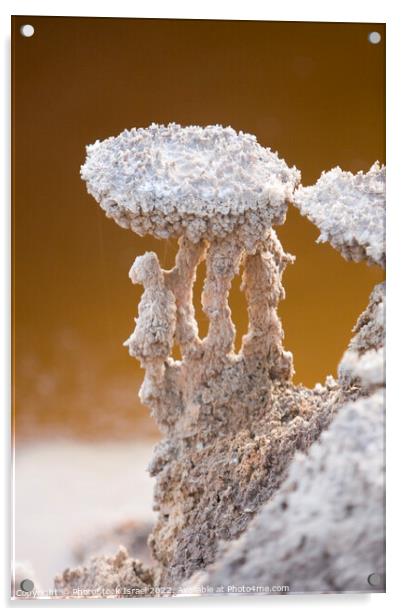 Dead Sea salt formation  Acrylic by PhotoStock Israel