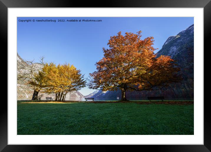 Autumn At The Königssee Framed Mounted Print by rawshutterbug 