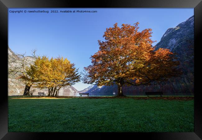 Autumn At The Königssee Framed Print by rawshutterbug 