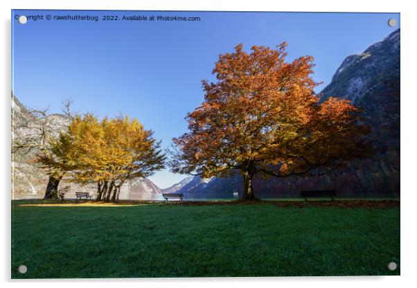 Autumn At The Königssee Acrylic by rawshutterbug 