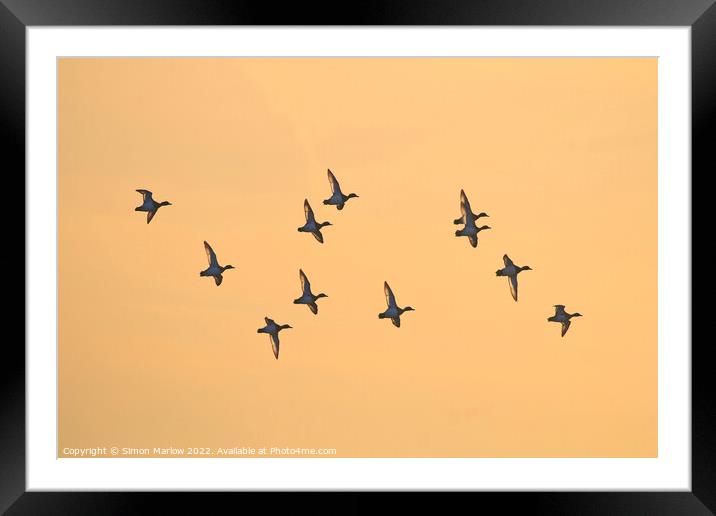 Teal at Sunrise Framed Mounted Print by Simon Marlow