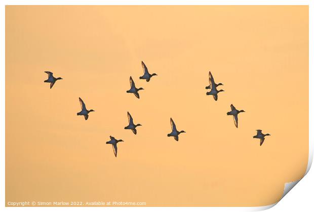 Teal at Sunrise Print by Simon Marlow