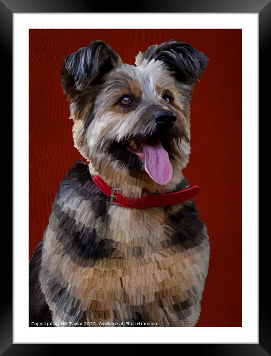 Happy dog Framed Mounted Print by Nik Taylor