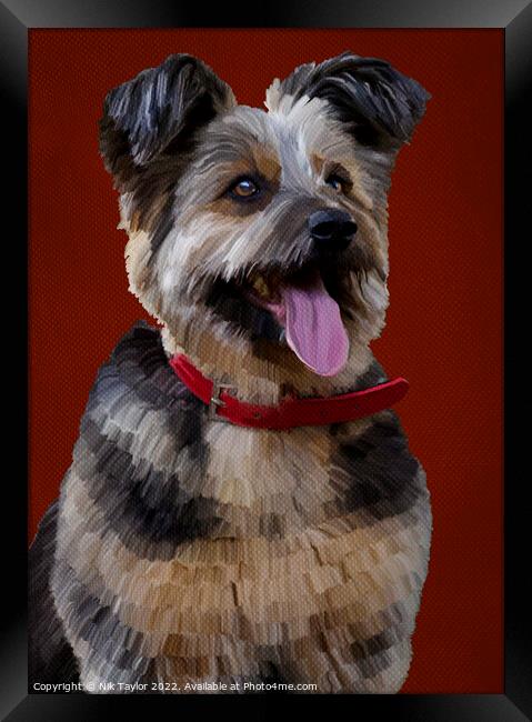 Happy dog Framed Print by Nik Taylor