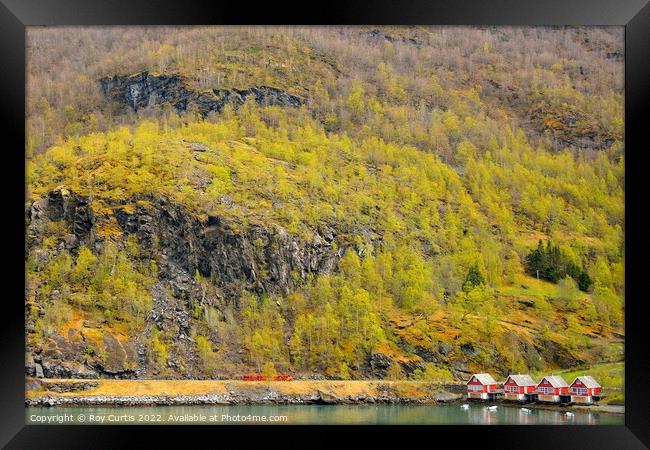Flam - Houses on the Fjord. Framed Print by Roy Curtis
