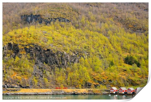 Flam - Houses on the Fjord. Print by Roy Curtis