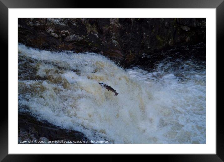 Atlantic salmon leap Shin Falls Sutherland Scotland Framed Mounted Print by Jonathan Mitchell