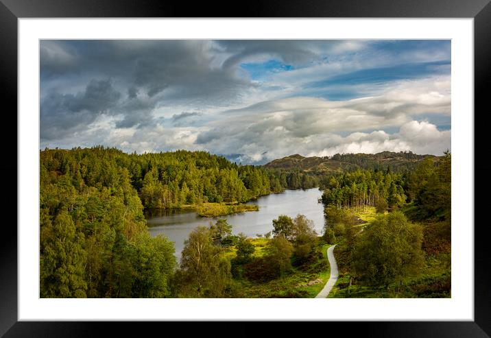 View over Tarn Hows in English Lake District Framed Mounted Print by Steve Heap