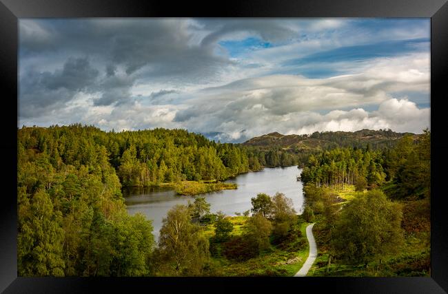 View over Tarn Hows in English Lake District Framed Print by Steve Heap