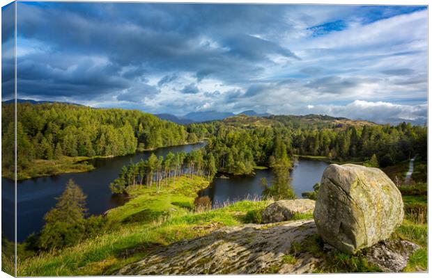 Tarn Hows in English Lake District Canvas Print by Steve Heap