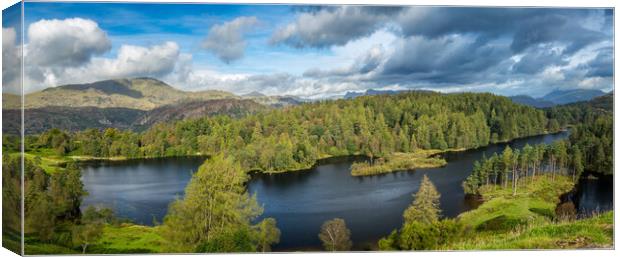 Panoramic Tarn Hows in English Lake District Canvas Print by Steve Heap