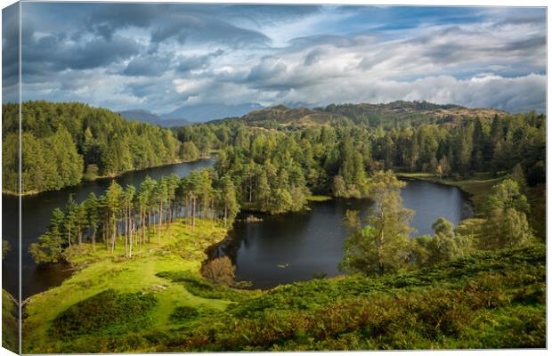 Clouds over Tarn Hows in English Lake District Canvas Print by Steve Heap