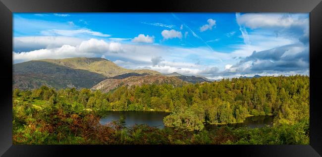 Panorama of Tarn Hows in English Lake District Framed Print by Steve Heap