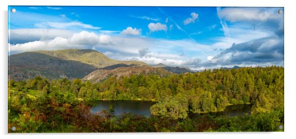Panorama of Tarn Hows in English Lake District Acrylic by Steve Heap