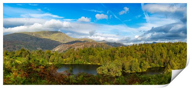 Panorama of Tarn Hows in English Lake District Print by Steve Heap