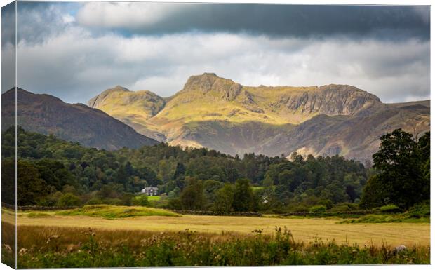 Langdale Pikes in Lake District Canvas Print by Steve Heap