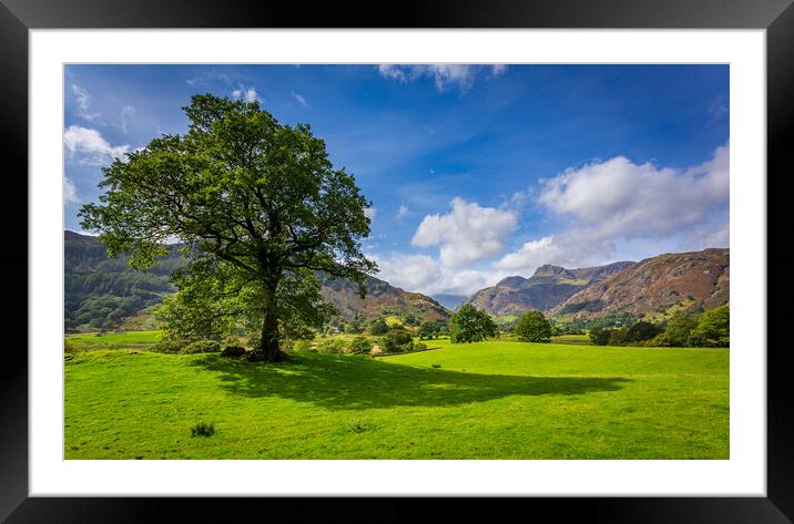 Tree with Langdale Pikes in Lake District Framed Mounted Print by Steve Heap