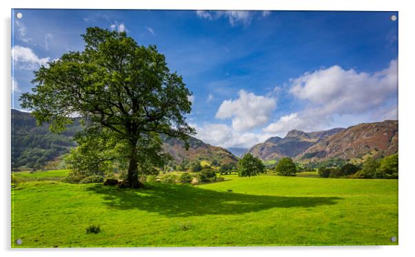 Tree with Langdale Pikes in Lake District Acrylic by Steve Heap