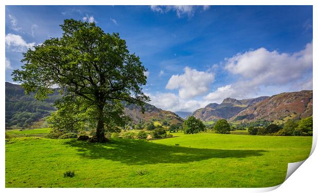 Tree with Langdale Pikes in Lake District Print by Steve Heap