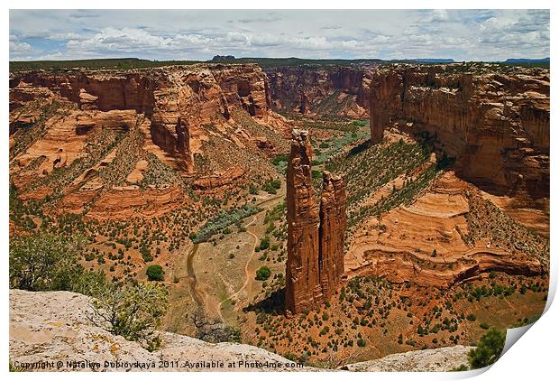 Spider Rock formation in Canyon de Chelly National Print by Nataliya Dubrovskaya