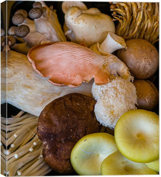 Mixed edible fungi Canvas Print by Gerry Walden LRPS