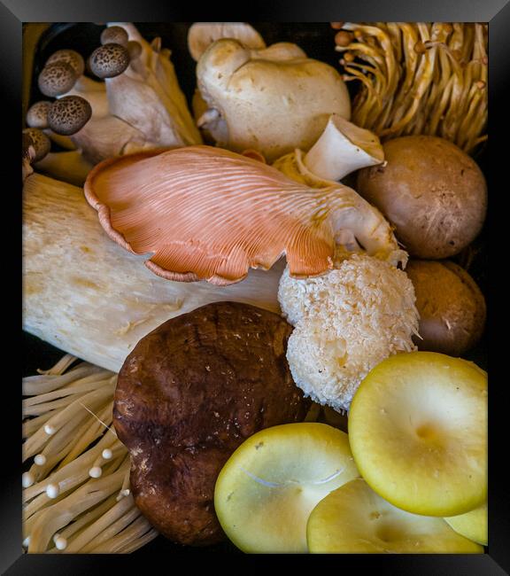 Mixed edible fungi Framed Print by Gerry Walden LRPS