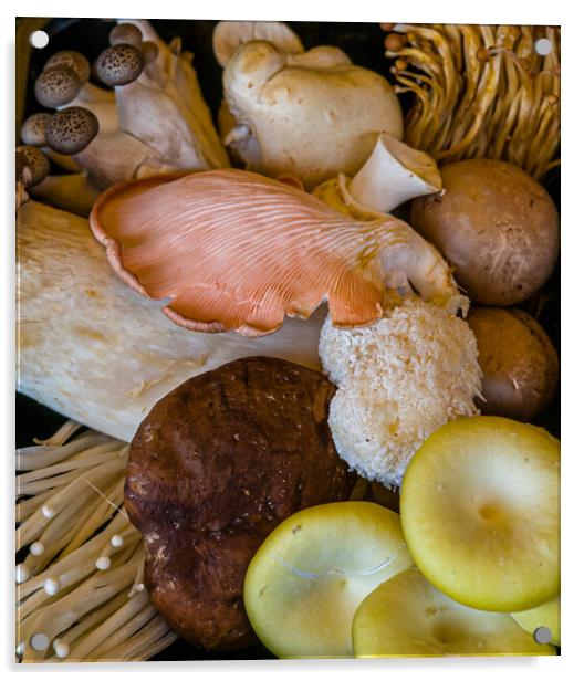 Mixed edible fungi Acrylic by Gerry Walden LRPS