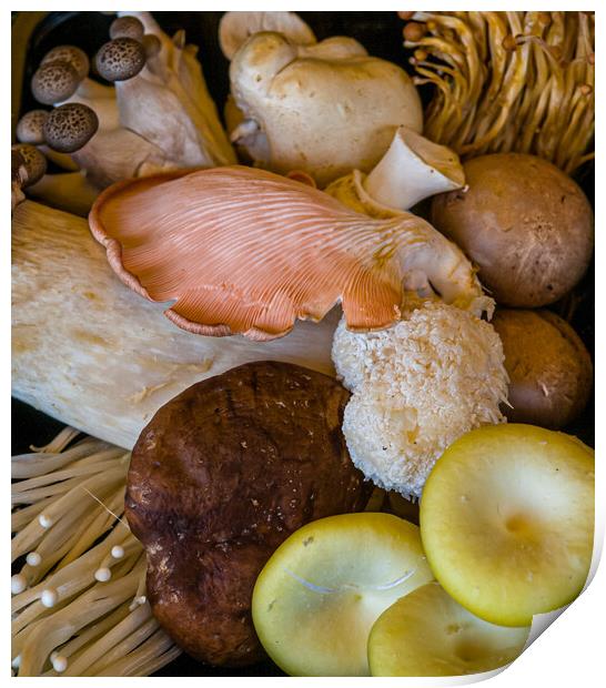 Mixed edible fungi Print by Gerry Walden LRPS