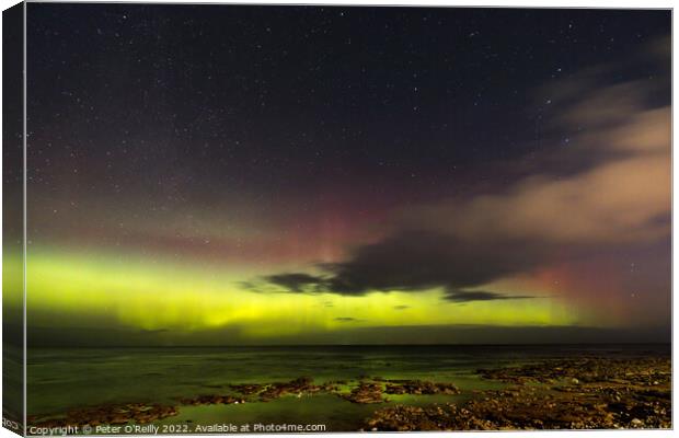 Northern Lights at Portgordon Canvas Print by Peter O'Reilly