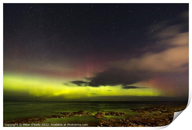 Northern Lights at Portgordon Print by Peter O'Reilly