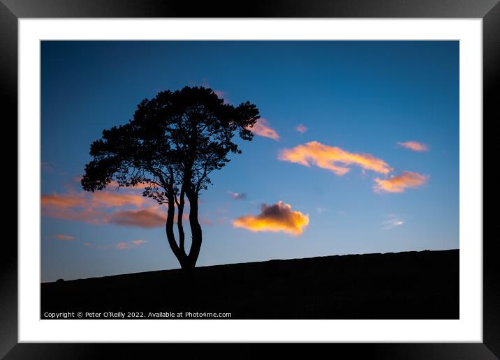 Sunset Silhouette Framed Mounted Print by Peter O'Reilly