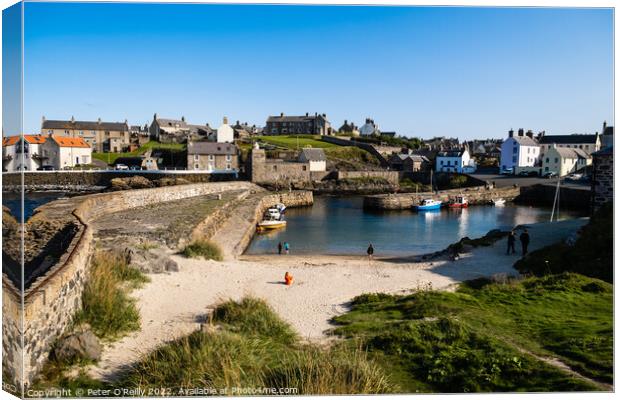 Portsoy Harbour and Beach, Aberdeenshire Canvas Print by Peter O'Reilly