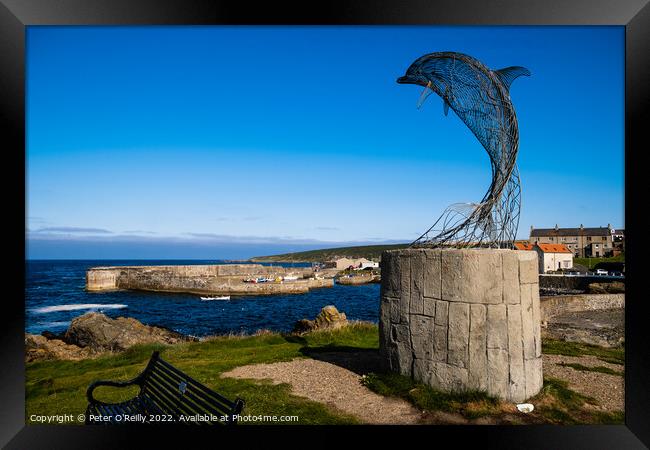 Dolphin Sculpture, Portsoy Harbour, Aberdeenshire Framed Print by Peter O'Reilly