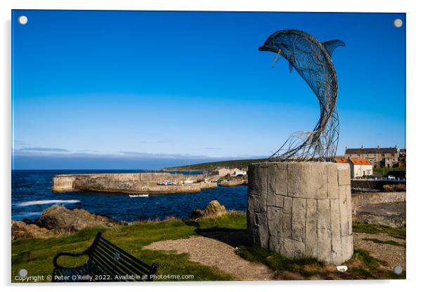 Dolphin Sculpture, Portsoy Harbour, Aberdeenshire Acrylic by Peter O'Reilly