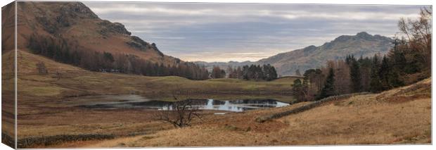 Blea Tarn and the woods Canvas Print by Paul Madden