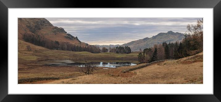Blea Tarn and the woods Framed Mounted Print by Paul Madden
