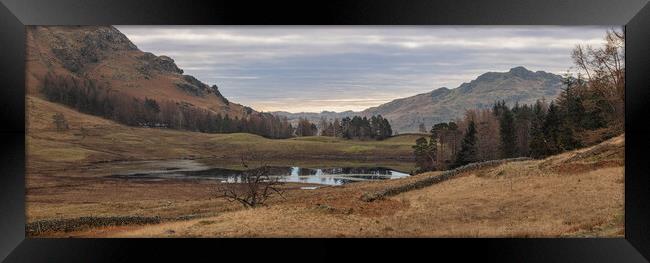 Blea Tarn and the woods Framed Print by Paul Madden