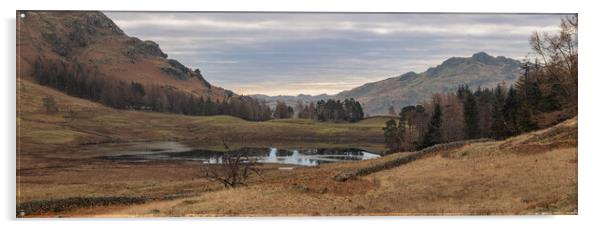Blea Tarn and the woods Acrylic by Paul Madden