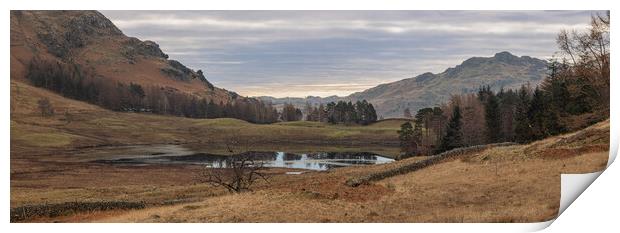 Blea Tarn and the woods Print by Paul Madden