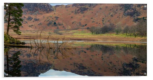 Blea Tarn reflections Acrylic by Paul Madden