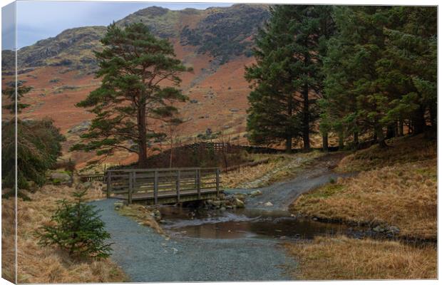 Blea Tarn woods and bridge Canvas Print by Paul Madden