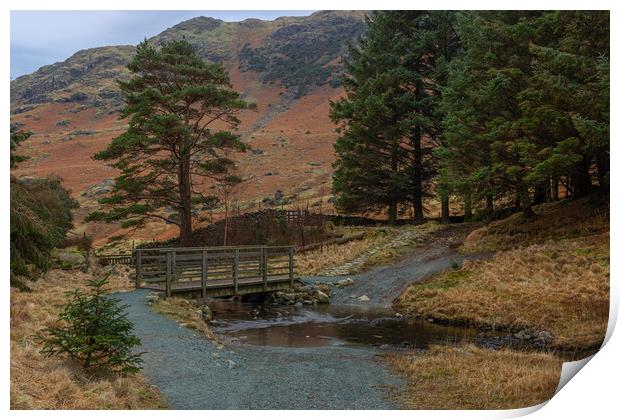 Blea Tarn woods and bridge Print by Paul Madden