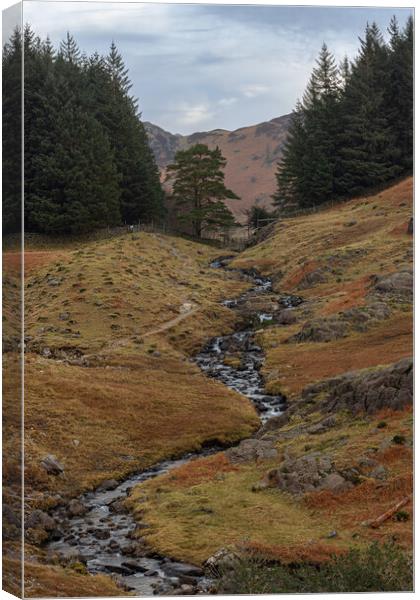 Stream at the Lake District Canvas Print by Paul Madden