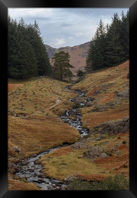 Stream at the Lake District Framed Print by Paul Madden