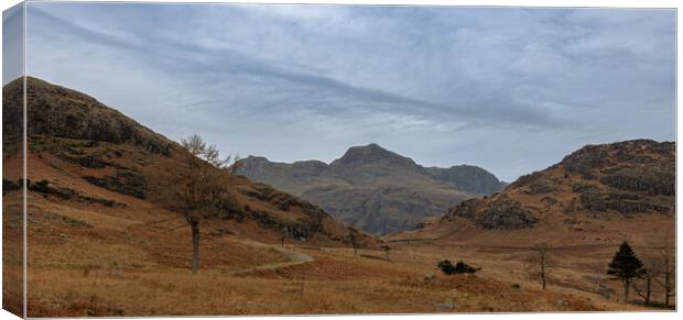 The path from Blea Tarn Canvas Print by Paul Madden
