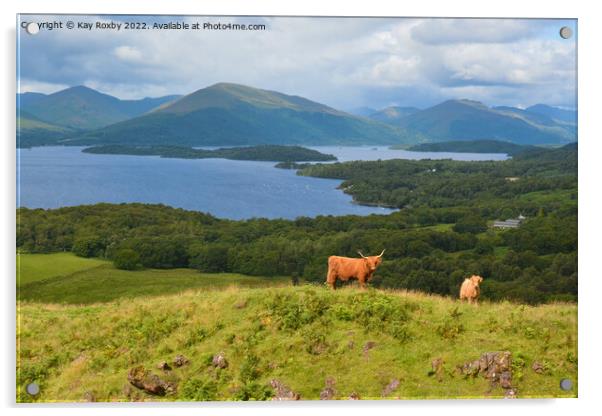 Highland Cattle overlooking Loch Lomond Acrylic by Kay Roxby